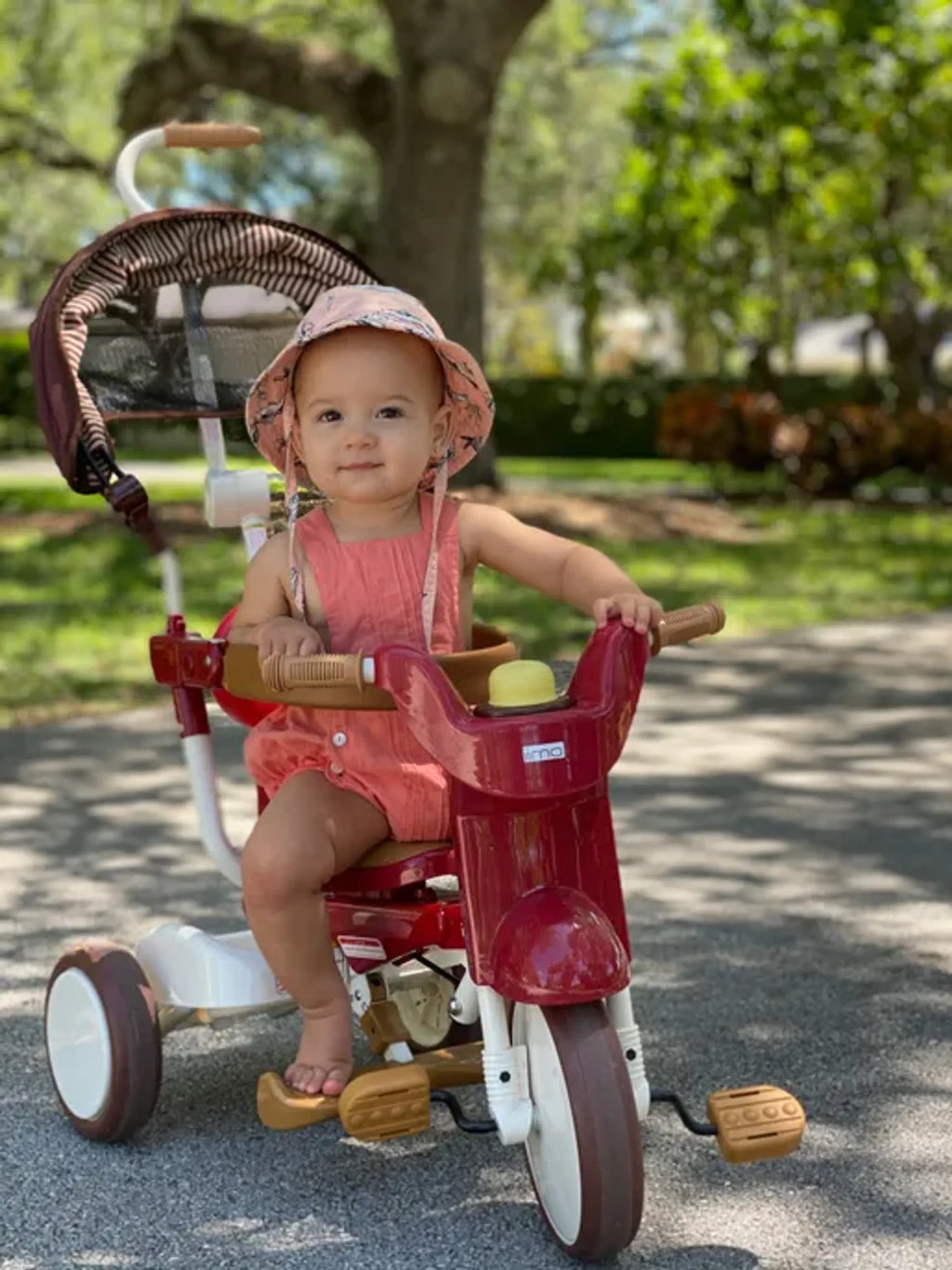 iimo 3-in-1 Folding Tricycle